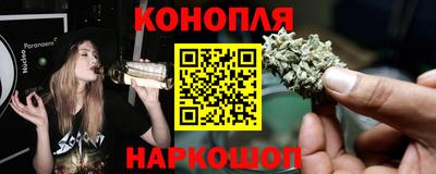 спиды Обь