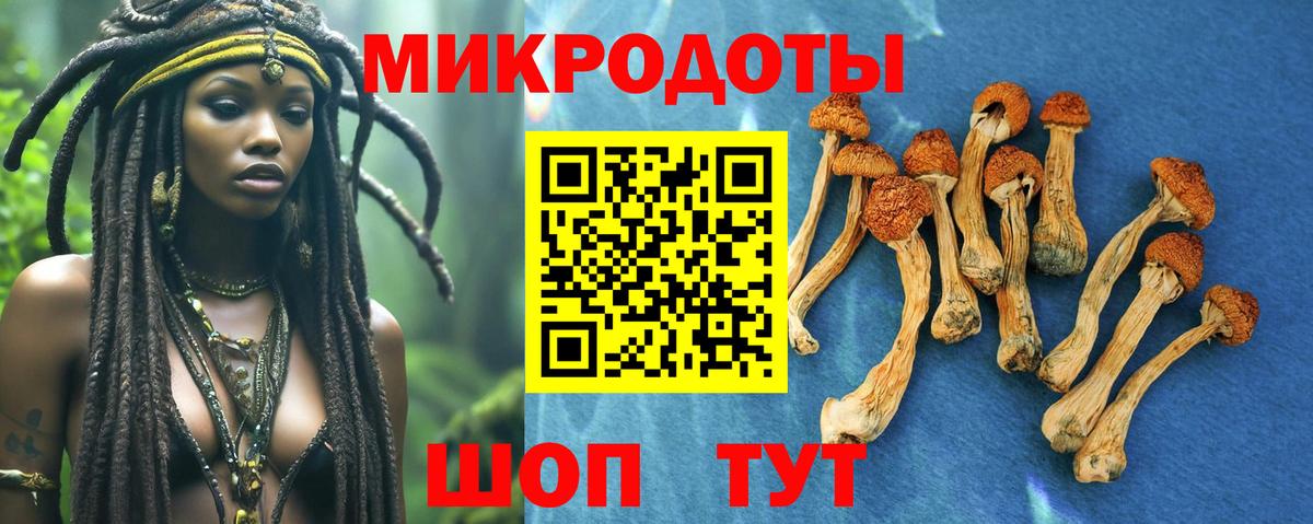 Галлюциногенные грибы Psilocybe  Вход с VPN  Спасск-Дальний 